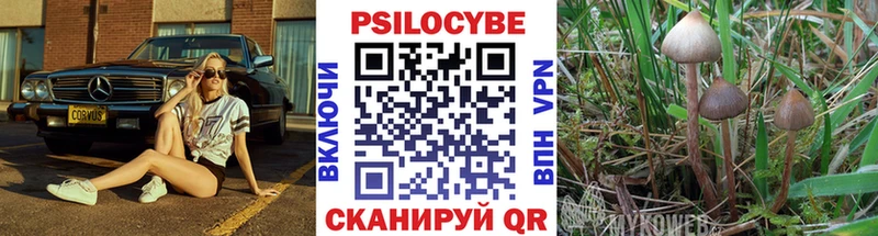 МЕГА зеркало  Шенкурск  Галлюциногенные грибы прущие грибы 
